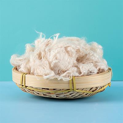 一種神秘的大生物纖維是什么？