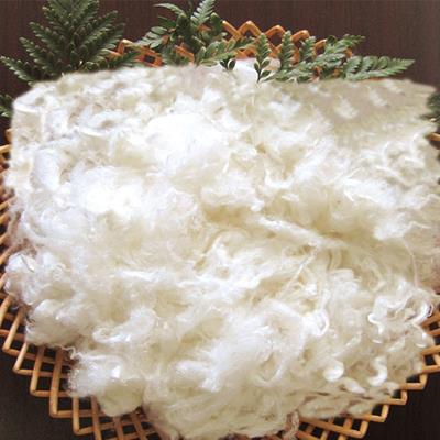 植物纖維面料是用植物來(lái)做的嗎？